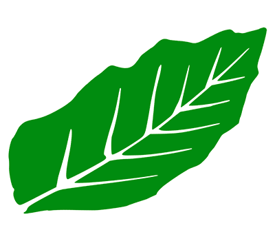 Beech & Bayside Logo